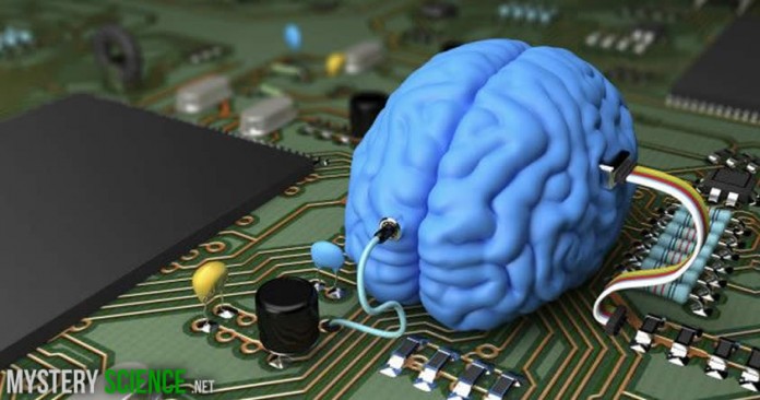 cerebro a computadora del cerebro a la computadora
