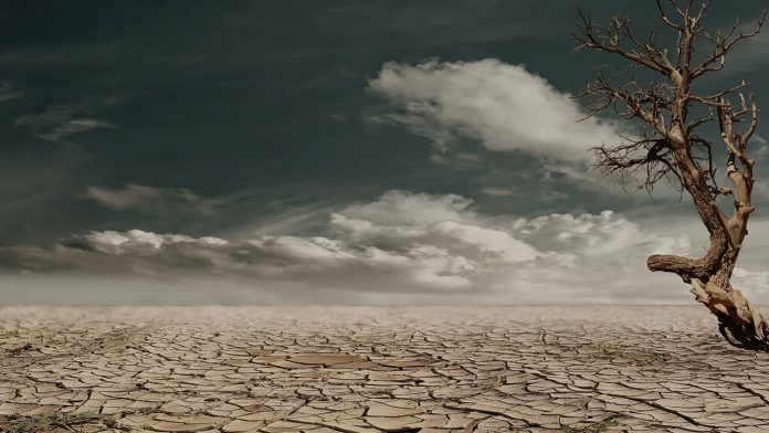 Ciudad del Cabo, en Sudáfrica, se queda sin agua.