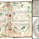 Manuscrito Voynich: el libro más misterioso e indescifrable de la historia