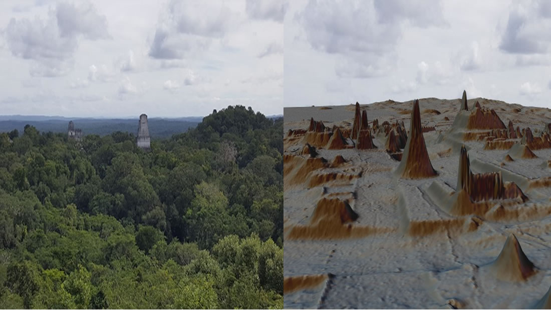 Revelan más de 60.000 estructuras mayas ocultas en la selva mediante láser
