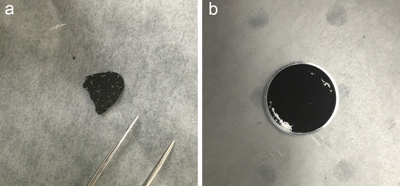 Comparación de los espectros del infrarrojo medio de un trozo del meteoroide del lago Tagish y los espectros recogidos de Phobos por la nave espacial Mars Global Explorer.