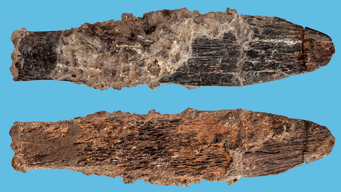 Cuchillo de 90.000 años es la herramienta ósea especializada más antigua