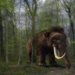 Trabajadores de una carretera hallan restos de animales prehistóricos