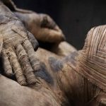 Nueva técnica de rayos X permite ver los nervios y vasos sanguíneos de una momia
