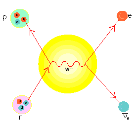 Un protón y un electrón se aniquilan emitiendo un neutrón y un neutrino electrónico.