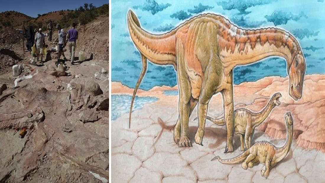 Descubren nueva especie de dinosaurios en Argentina