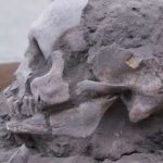 Hallan los entierros humanos más antiguos de Ecuador