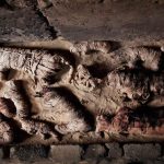Hallan docenas de momias de gatos en tumba egipcia de 6.000 años