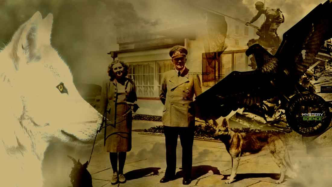 Hitler y su amor por los animales