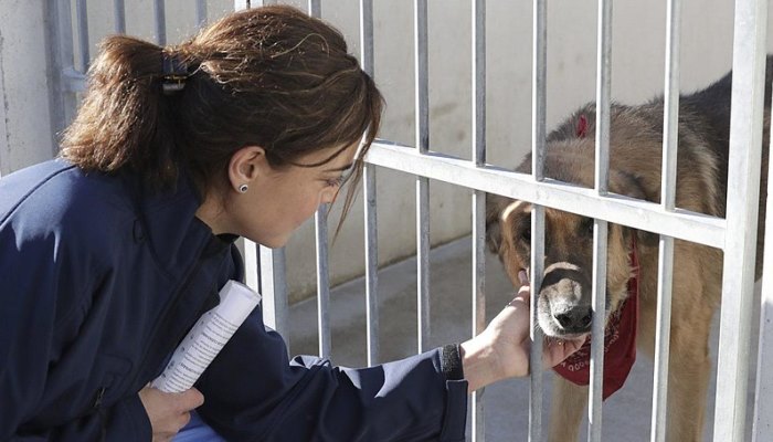 Centro de Protección Animal de Madrid