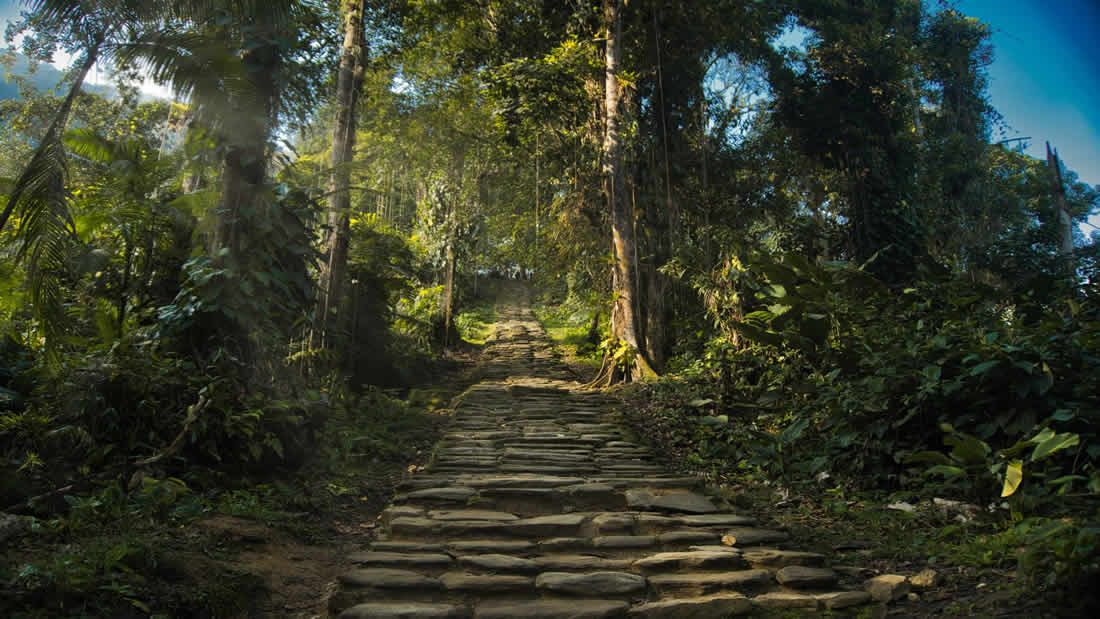 Descubren una ciudad perdida en Colombia relacionada a la leyenda de El Dorado