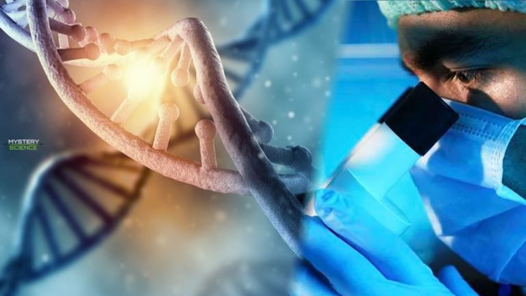 Una nueva técnica podría corregir hasta el 89% de las mutaciones genéticas