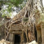 Descubren una antigua ciudad perdida en la selva de Camboya