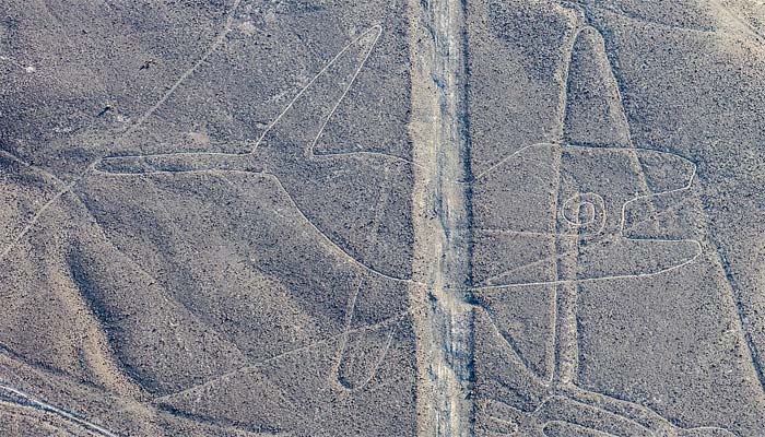 Líneas de Nazca «Ballena»