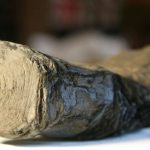 Pergaminos carbonizados por el Vesubio podrán ser leídos gracias a una nueva técnica