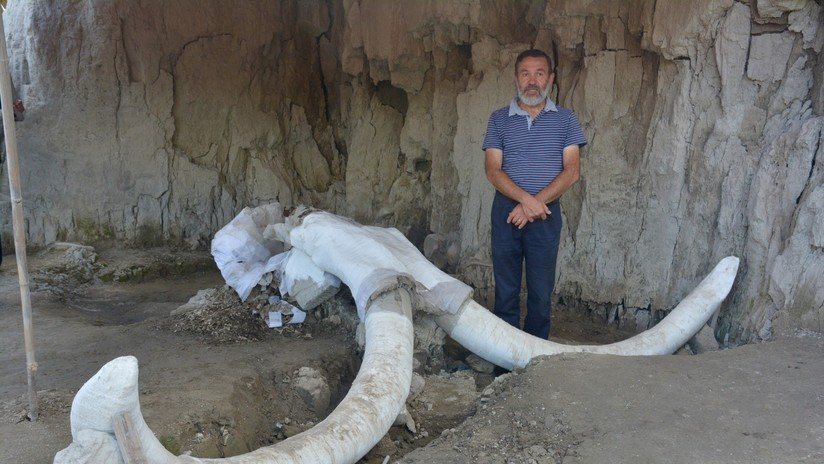 Arqueólogo Luis Córdoba junto a un vestigio de mamut hallado en el Tultepec, México