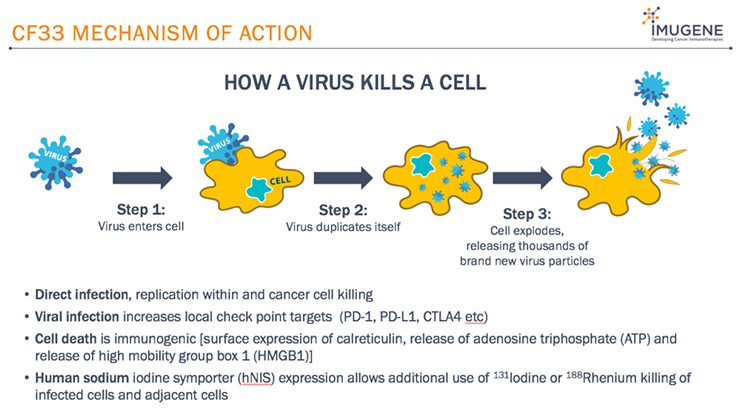 Cómo un virus mata a una célula.