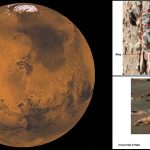 Fotografías muestran evidencia de que existe vida en Marte, afirma profesor universitario