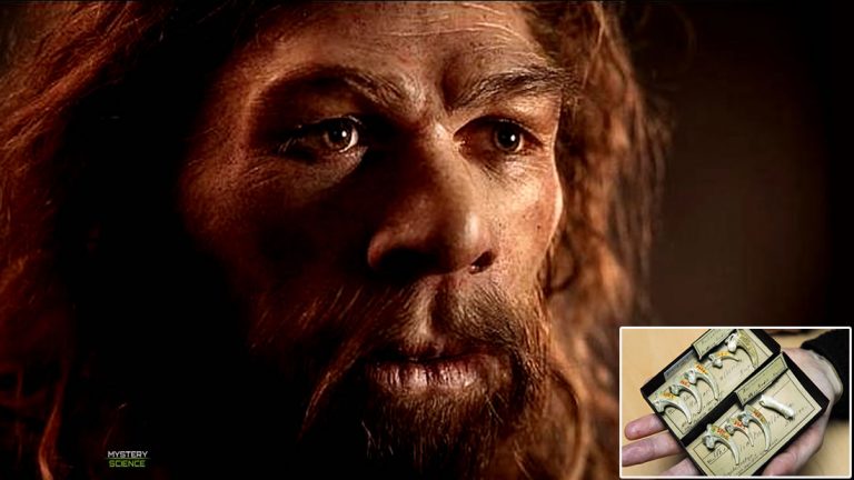 Hallan un collar de 40,000 años de antigüedad hecho por neandertales