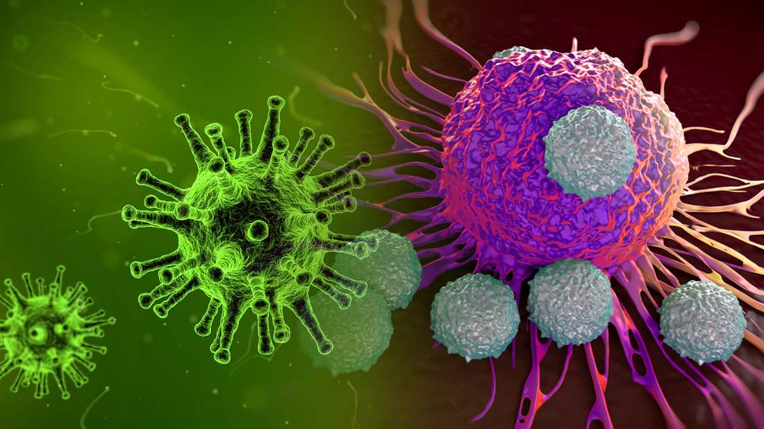 Desarrollan nuevo virus híbrido que elimina todo tipo de cáncer y tumores