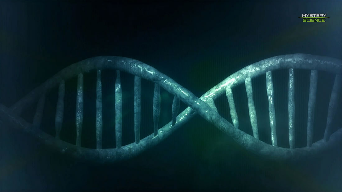 Científicos descubren que el cromosoma Y está desapareciendo de la sangre de los hombres