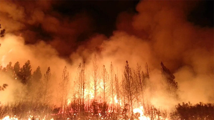 Incendio forestal