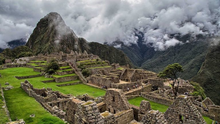 Eles plantarão 1 milhão de árvores ao redor de Machu Picchu