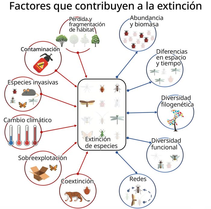 Factores que contribuyen a la extinción de insectos