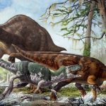 Hallan rara enfermedad humana en la cola fosilizada de un dinosaurio