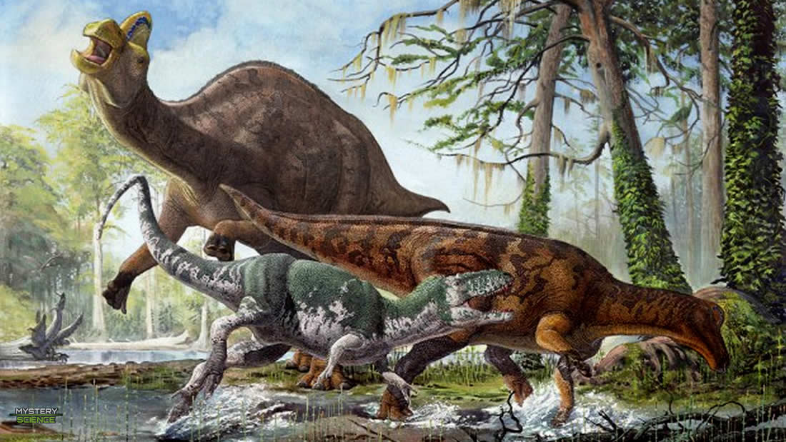 Hallan rara enfermedad humana en la cola fosilizada de un dinosaurio