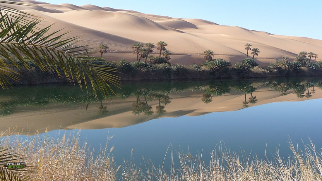 humanos comían peces en el Sahara antes de que se convirtiera en un desierto