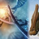 Encuentran 'ADN' de 75 millones de años preservado en un dinosaurio