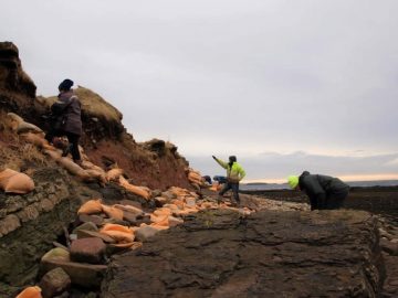 Tormenta deja al descubierto un cementerio vikingo de casi 1.500 años de antigüedad