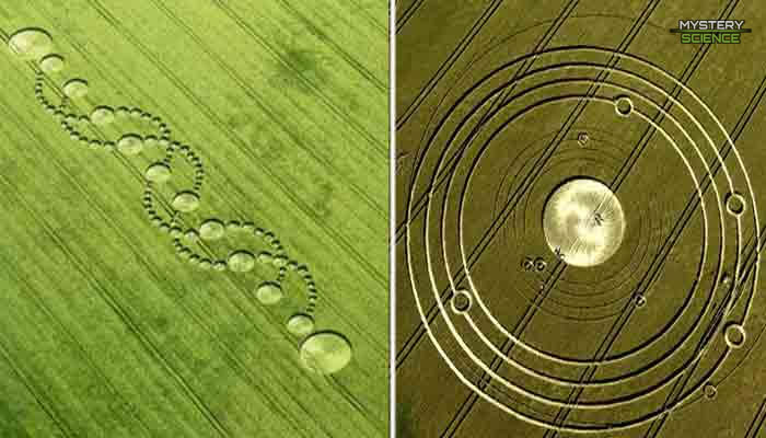 Los crop circles son hechos por extraterrestres