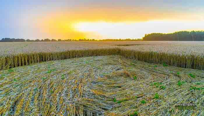 Como hacen los crop circles