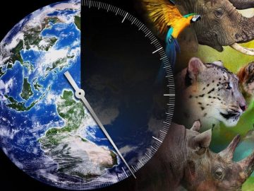Sexta extinción masiva se está acelerando advierten los científicos