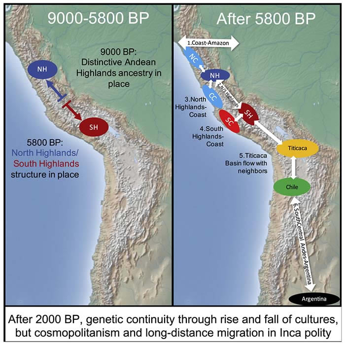 Mapa genético del cambio de estructura genómica de las civilizaciones andinas