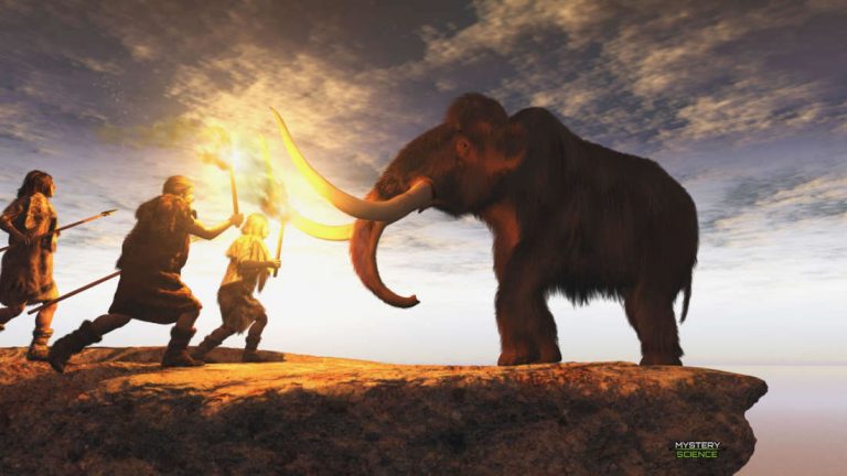 Descubren en Siberia imágenes de camellos grabadas en un colmillo de mamut de 13,000 años