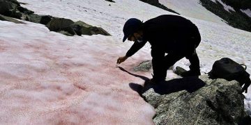 Nieve en los Alpes italianos se está volviendo rosa