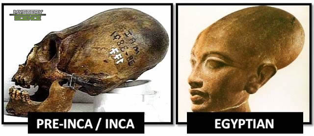 Inca and Egyptian elongated skulls