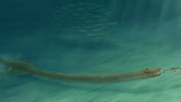 Resuelven el enigma de este «monstruo marino» prehistórico