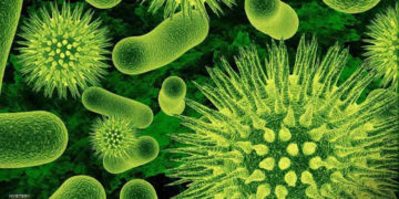 Científicos reviven microbios de más de 100 millones de años