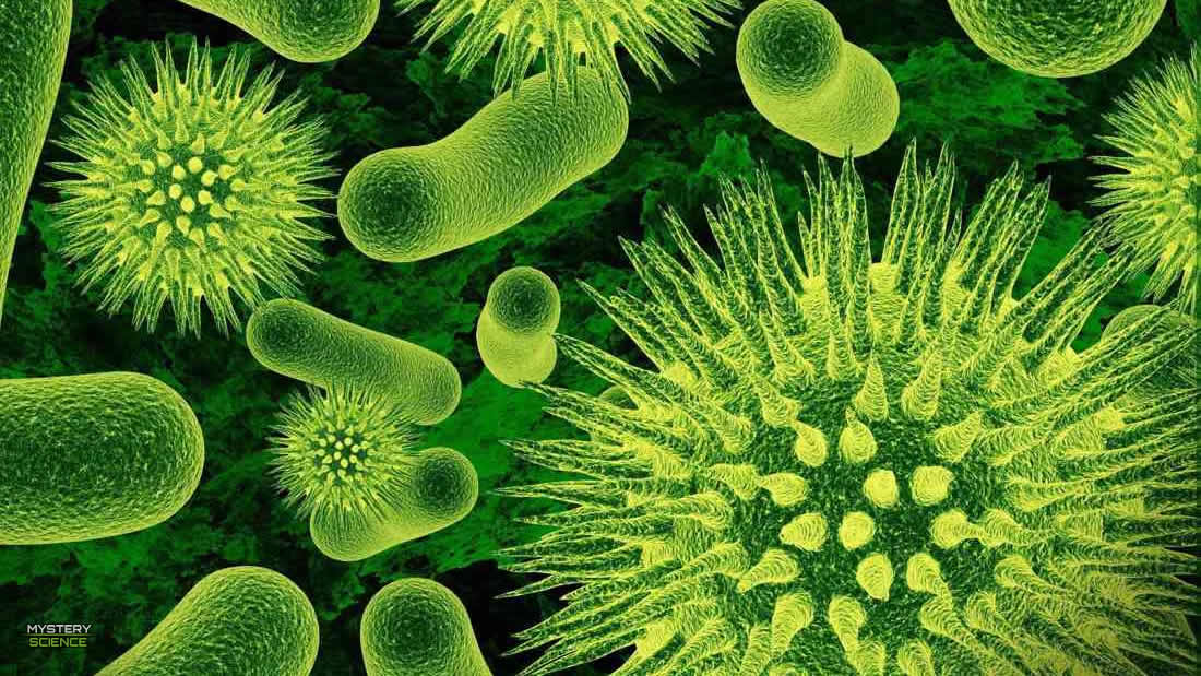 Científicos reviven microbios de más de 100 millones de años