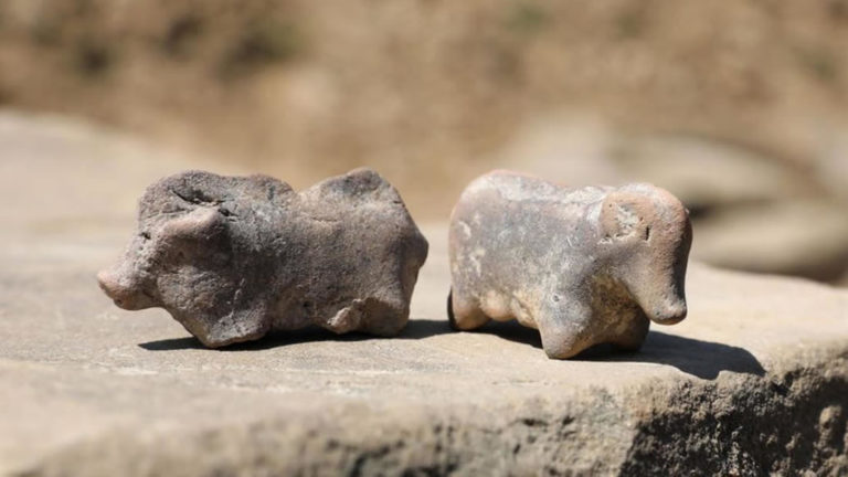 Encuentran juguetes que habrían usado niños de la prehistoria