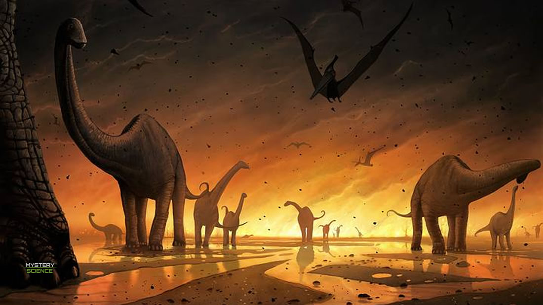 escubren una nueva especie de dinosaurio tras hallar los restos fósiles perfectamente conservados