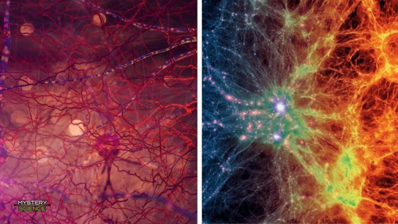 Similitudes cerebro y universo