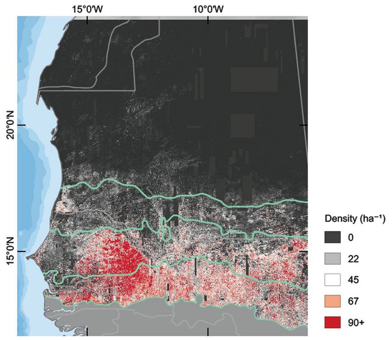 Este mapa registra la cantidad de árboles por hectárea en la zona estudiada