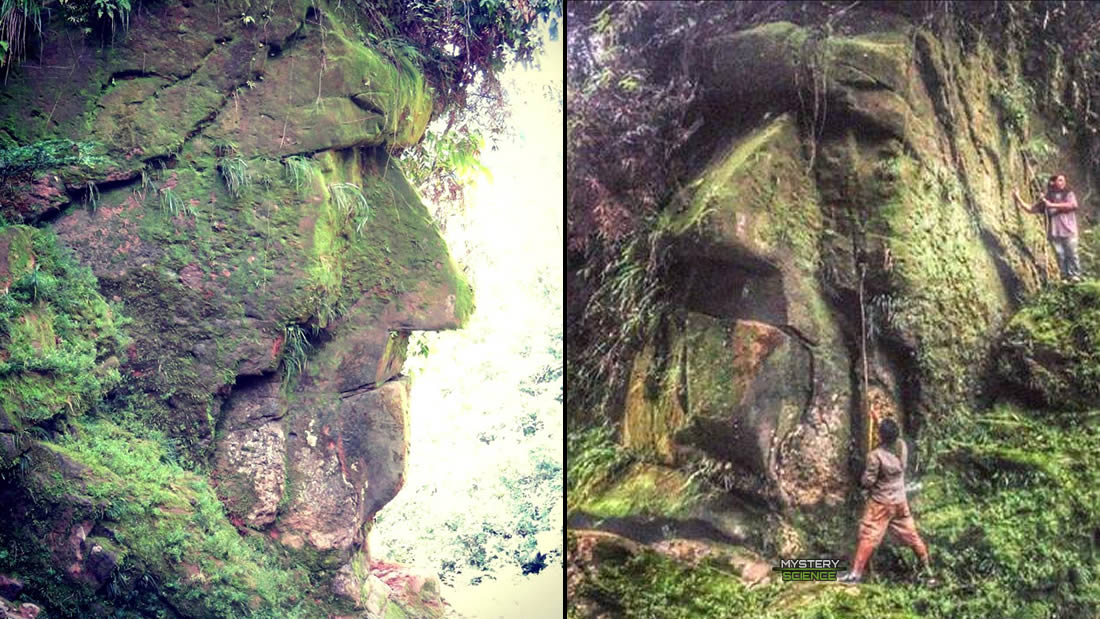 El enigmático rostro humano gigante hallado en la selva amazónica