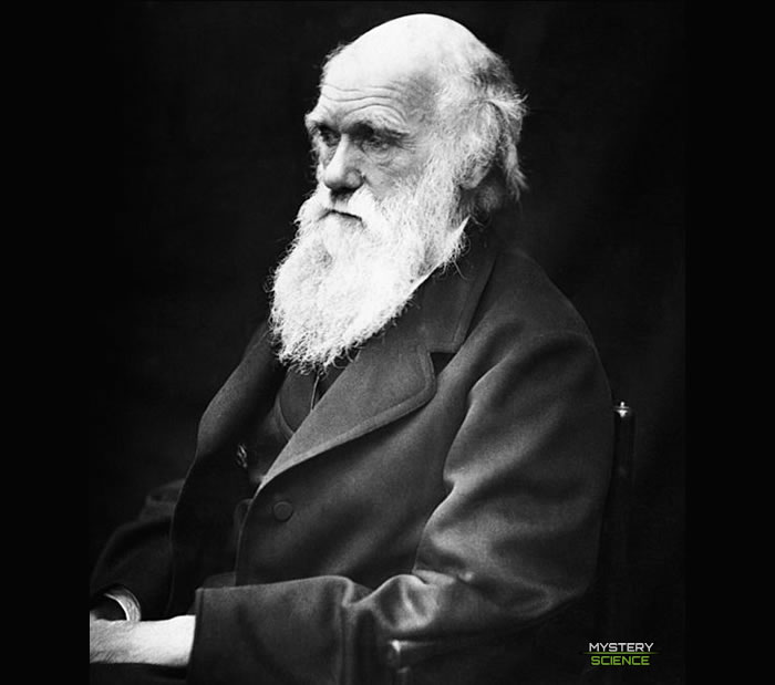 Darwin