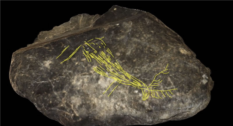 La piedra hallada en Coves del Fem con el grabado del ciervo macho y su gran cornamenta remarcados en amarillo